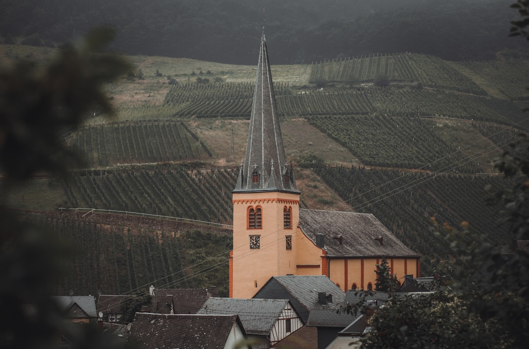 Museo del Vino de Mosela en Bernkastel-Kues - Cusanusstraße 2 | Secret World Trip Planner
