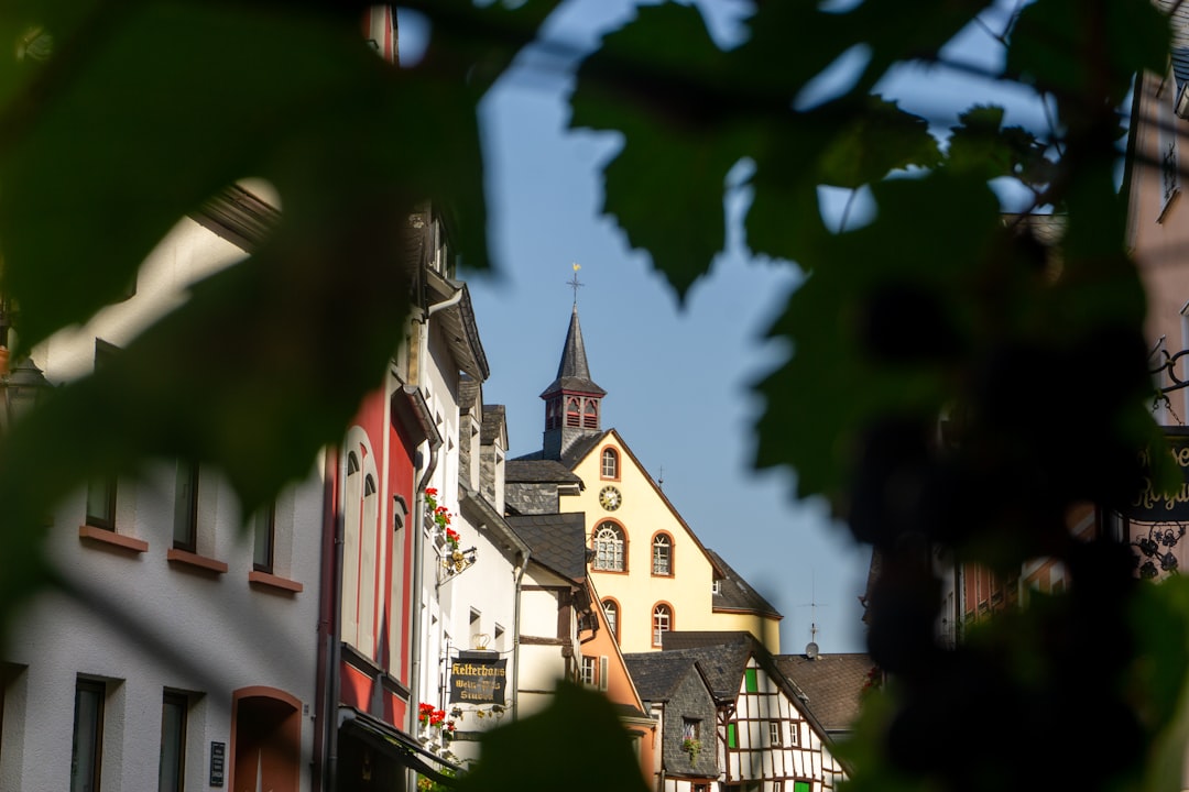 Museo del Vino de Mosela en Bernkastel-Kues - Cusanusstraße 2 | Secret World Trip Planner