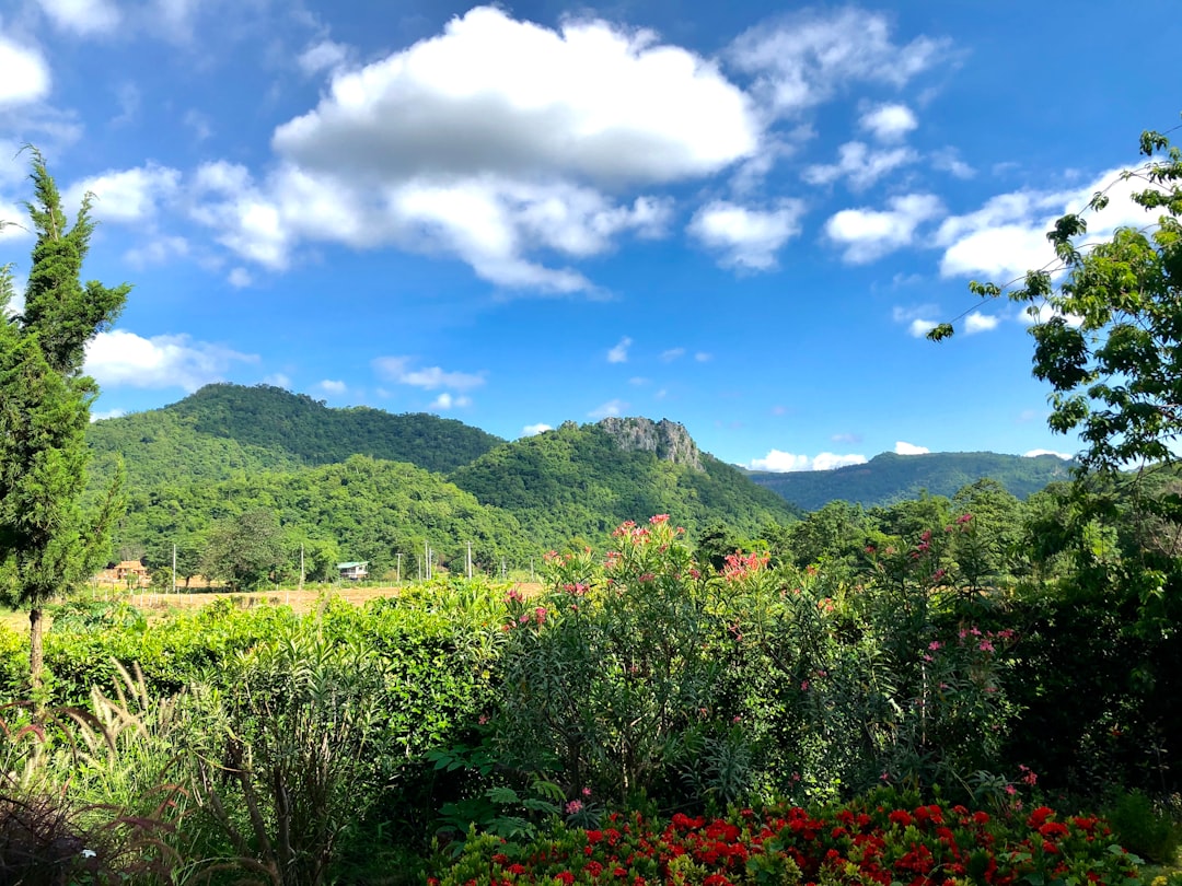Khao Yai: il paradiso naturale della Thailandia - Doem Bang Nang Buat District | Secret World Trip Planner