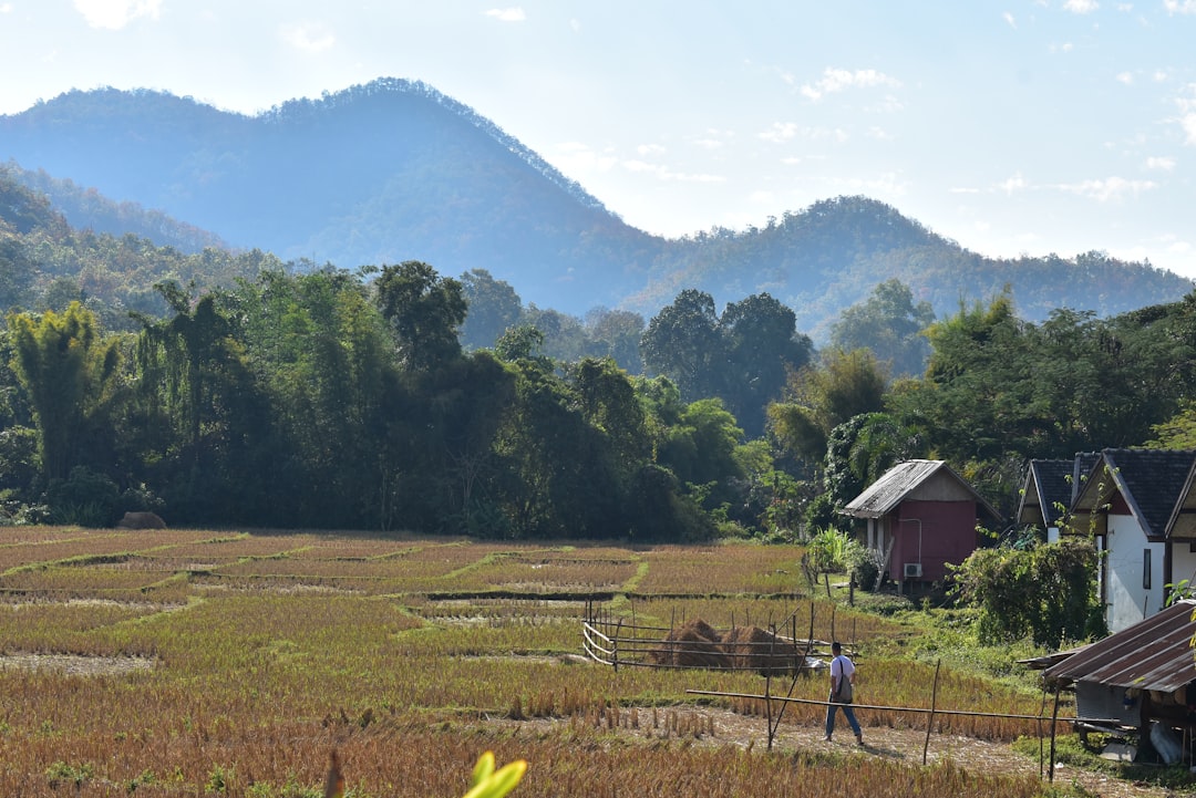 Discover Phu Thok: Thailand's Solitary Mountain - Chiang Khan District | Secret World Trip Planner