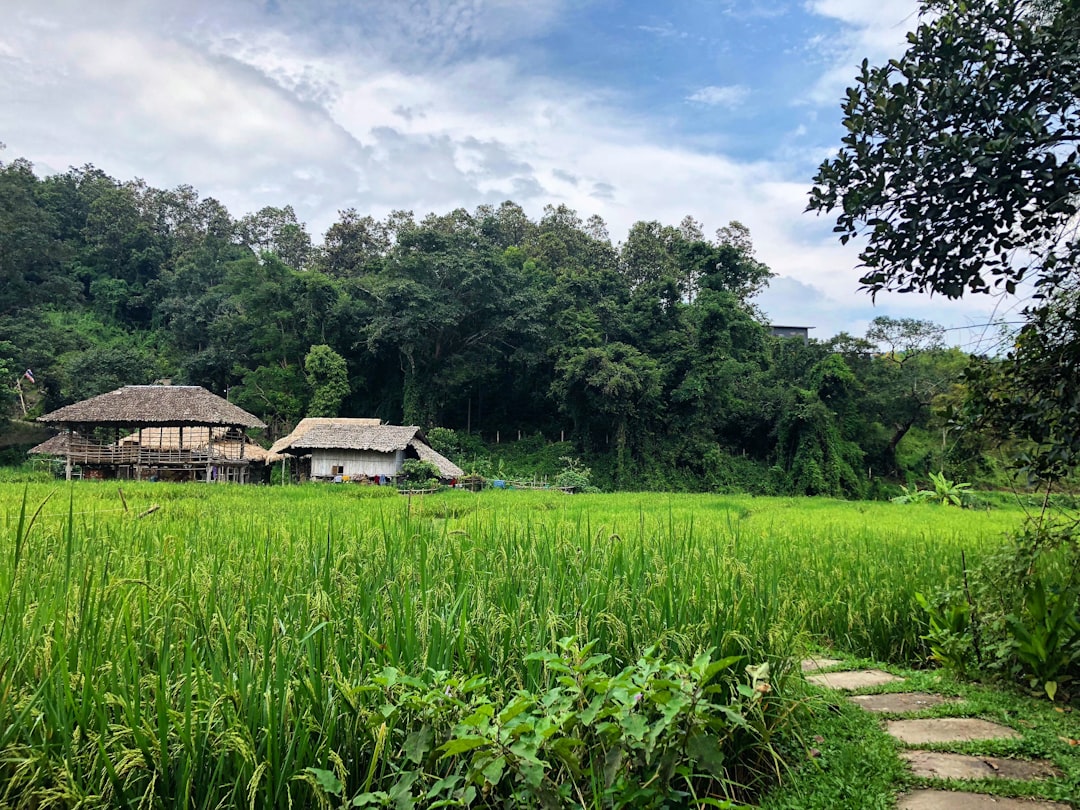 Exploring Phou Khai: A Natural Paradise in Thailand - Chaloem Phra Kiat District | Secret World Trip Planner