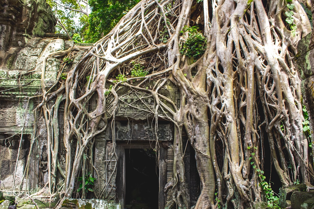 Discover the Bat Cave in Cambodia: a natural treasure to explore - Krong Battambang | Secret World Trip Planner