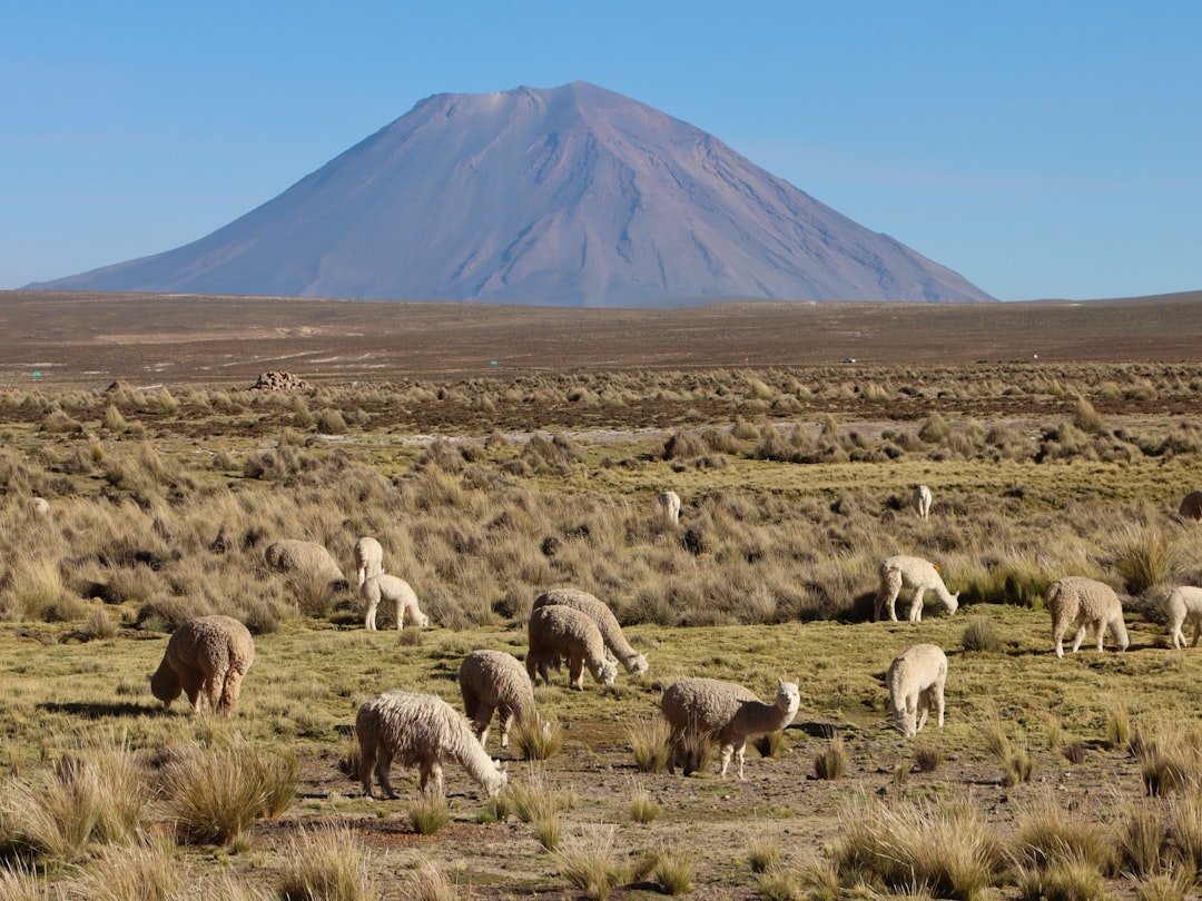 Explorer Jatunpauca : Un Paradis Naturel au Pérou — Tanta