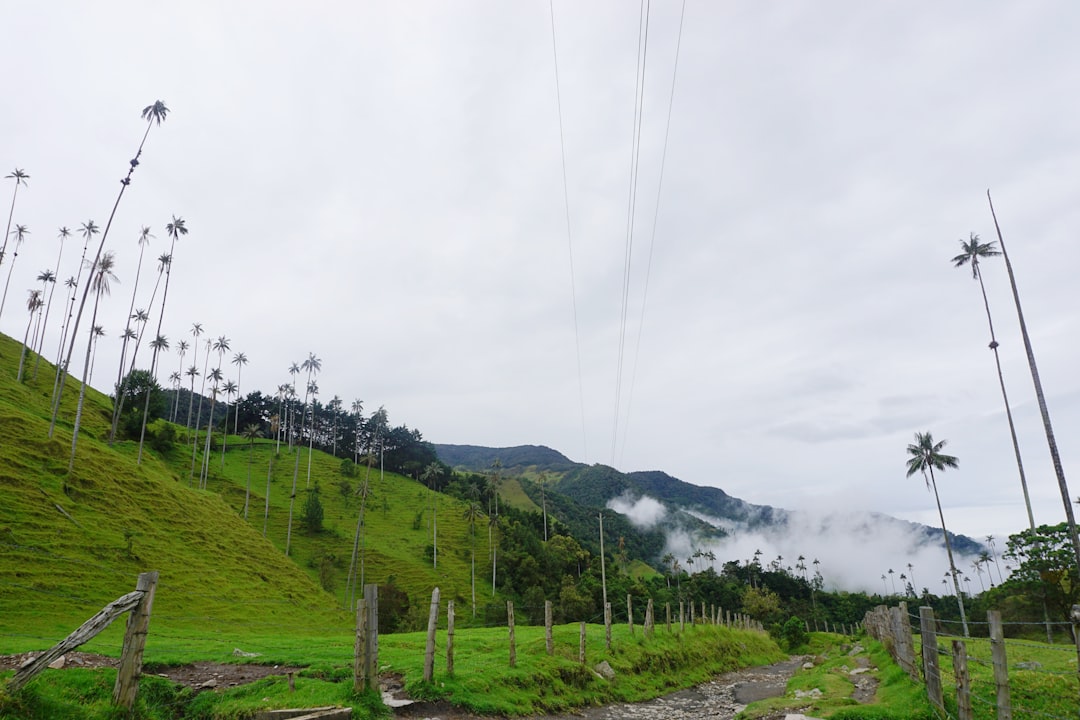 Discover Alto Miraflores: A Corner of Nature in Colombia | Secret World Trip Planner