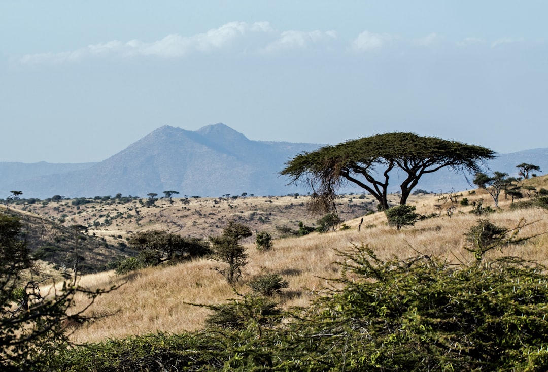 Entdecken Sie die Magie des Mount Kulal in Kenia — Gatab