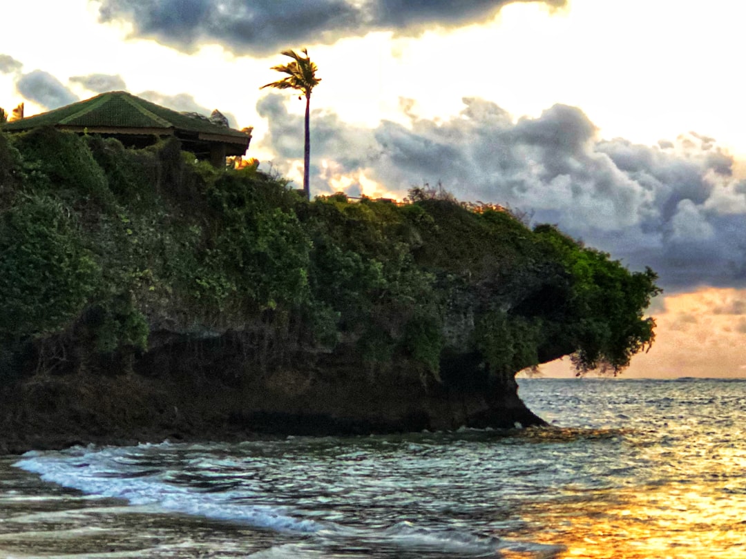 Explorez la Batcave : un voyage dans la nature du Kenya — Kakamega