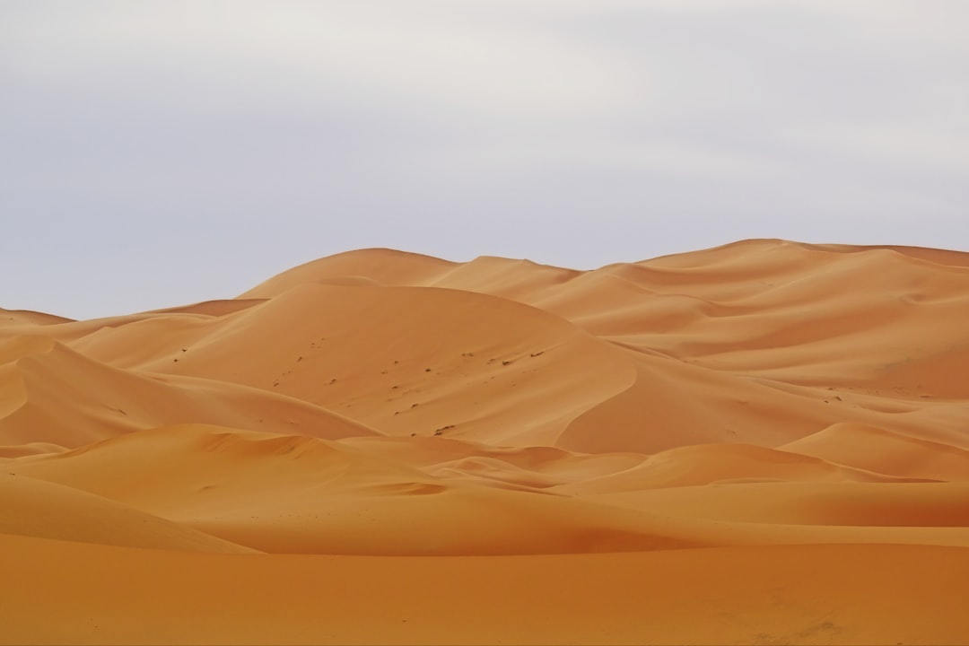 Merzouga e le dune dell'Erg Chebbi: il Sahara vero - Merzouga 52202 | Secret World Trip Planner