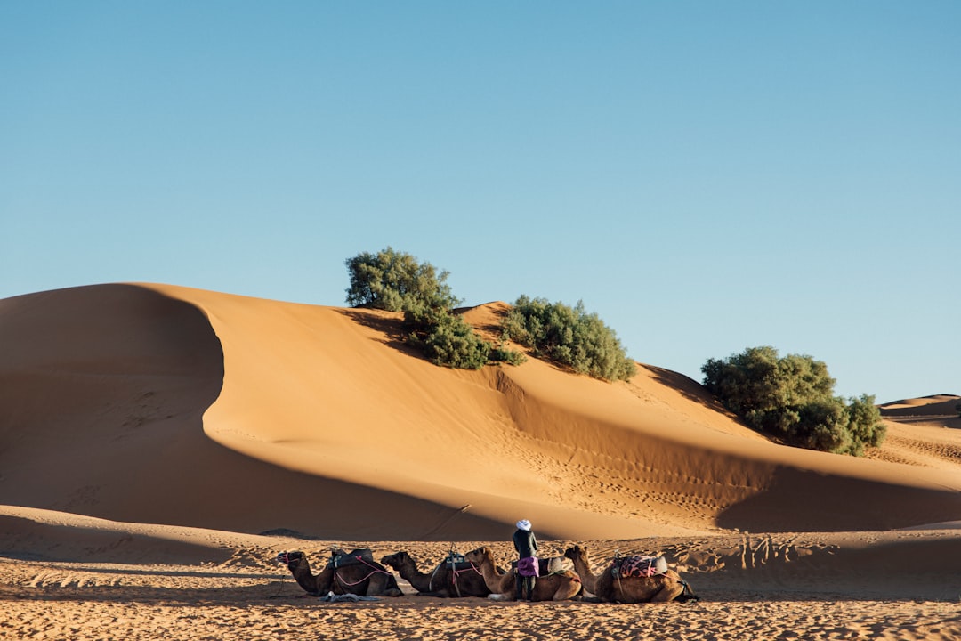 Merzouga and the Erg Chebbi Dunes: True Sahara Adventure - Merzouga 52202 | Secret World Trip Planner
