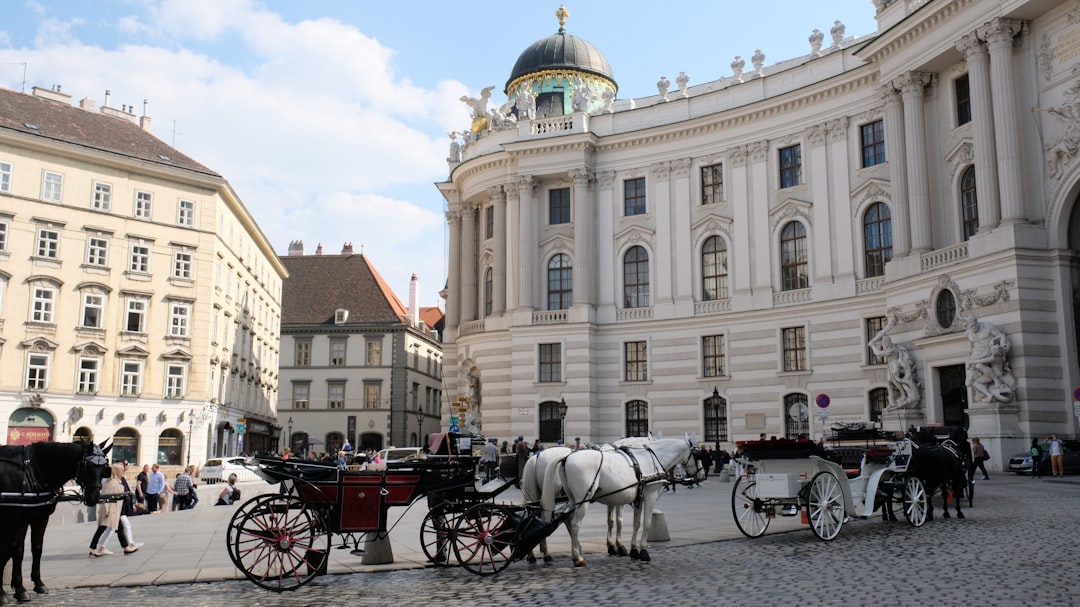 Дешевые каникулы в Вене 2026: практическое руководство - Vienna | Secret World Trip Planner
