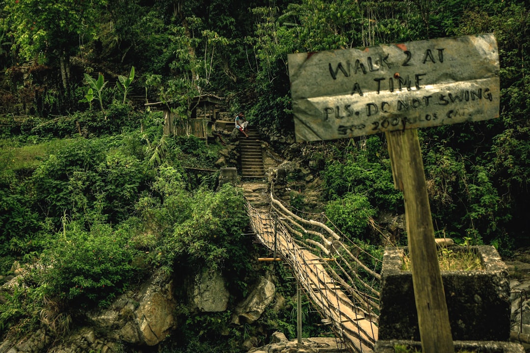 Discover the Angono Petroglyphs: Cultural Treasure of the Philippines — Angono