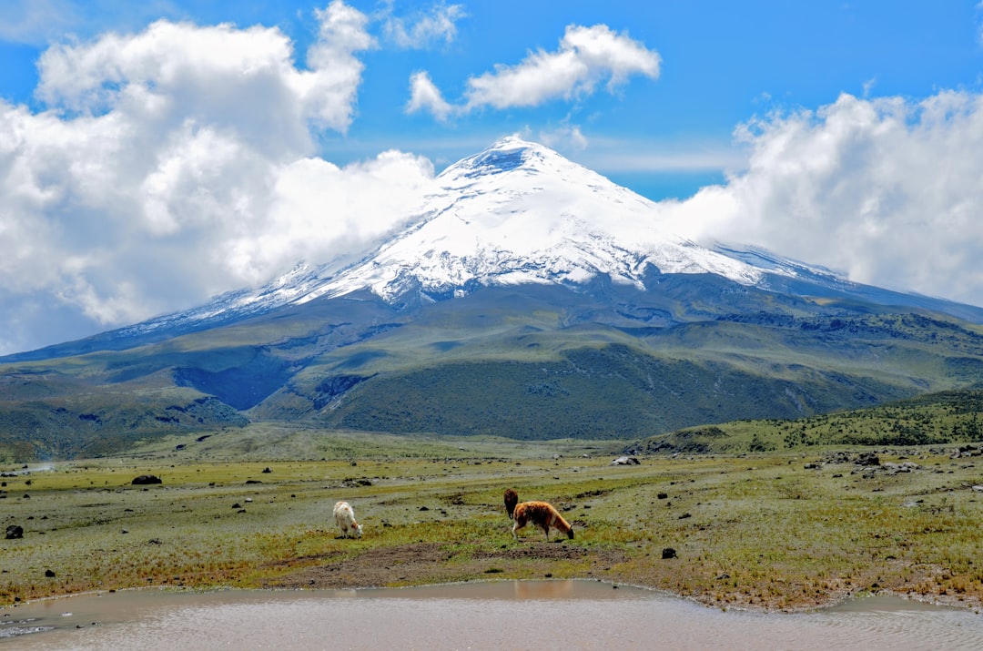 Cotopaxi: scalare il vulcano attivo più alto dell'Ecuador - Cotopaxi | Secret World Trip Planner