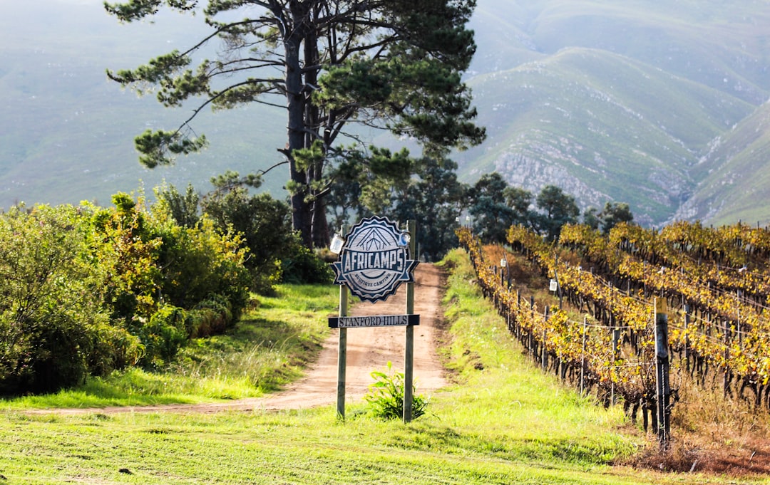 Colares : les vins atlantiques du Portugal - Alameda Cel. Linhares de Lima 32 | Secret World Trip Planner
