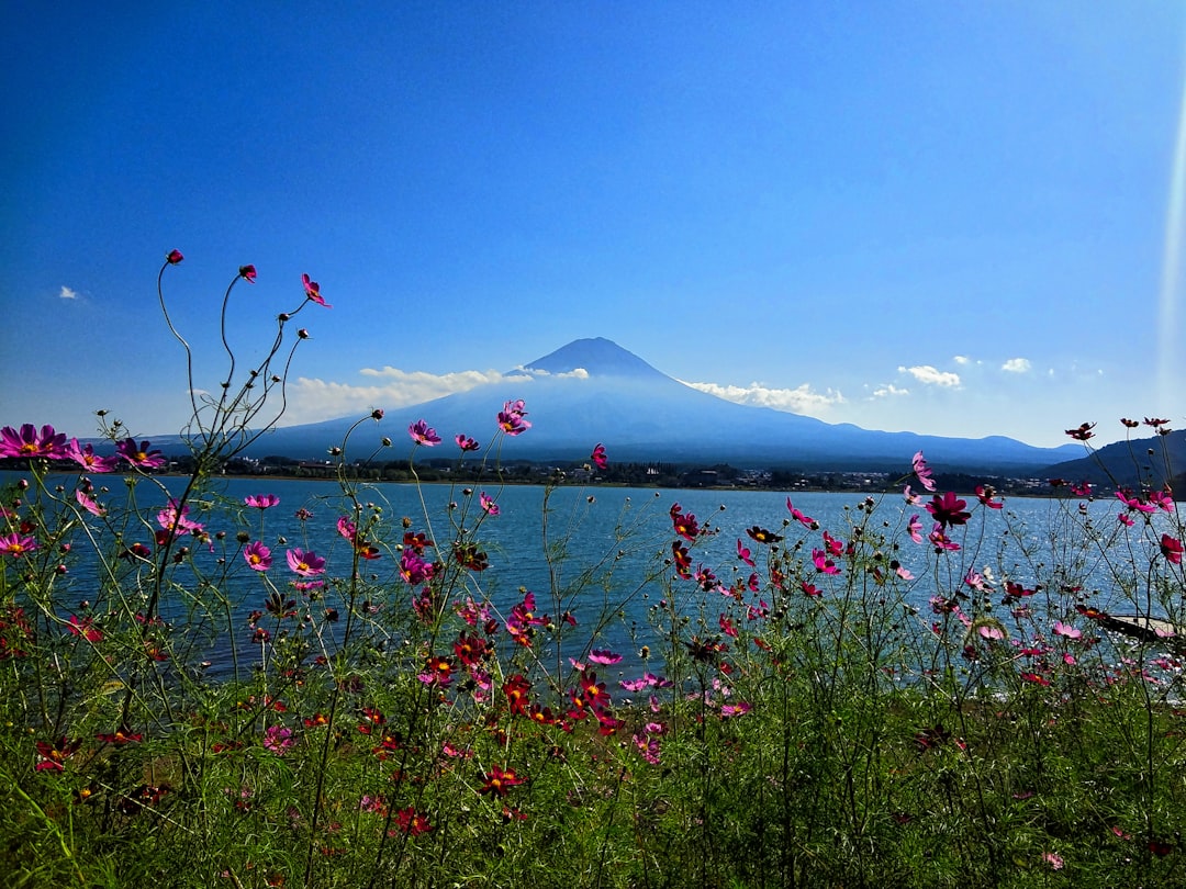 Secret World vs Google Trips: quale app per Tokyo 2026? - Tokyo | Secret World Trip Planner
