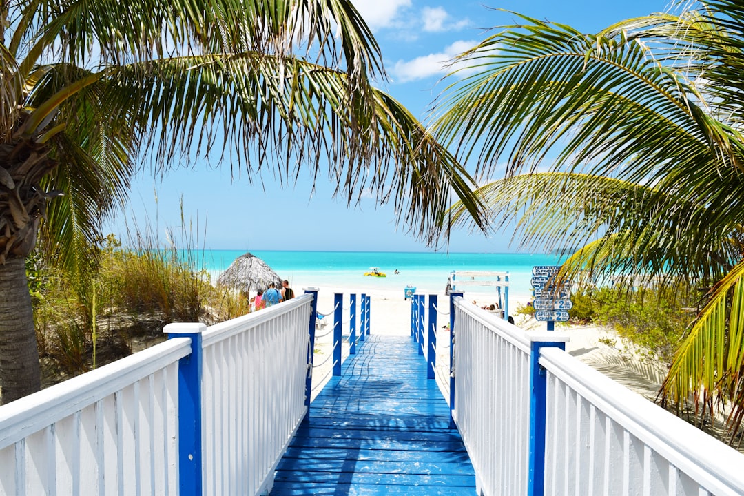 Cayo Coco: l'isola dei fenicotteri a Cuba — Cayo Coco