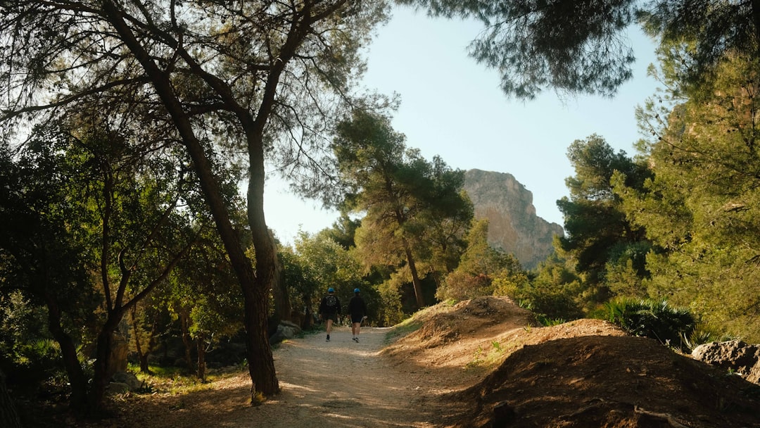 国王小径：埃尔乔罗峡谷的迷人步道 - 29550 Ardales | Secret World Trip Planner