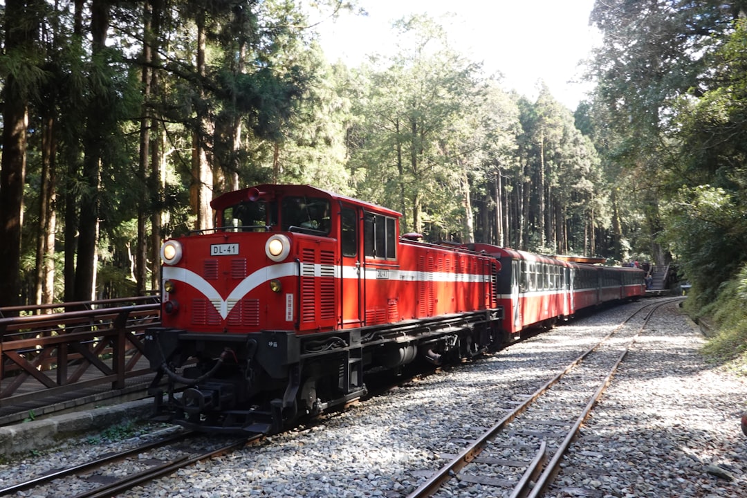 Alishan: alba tra le nuvole e i cipressi millenari - Alishan Township | Secret World Trip Planner