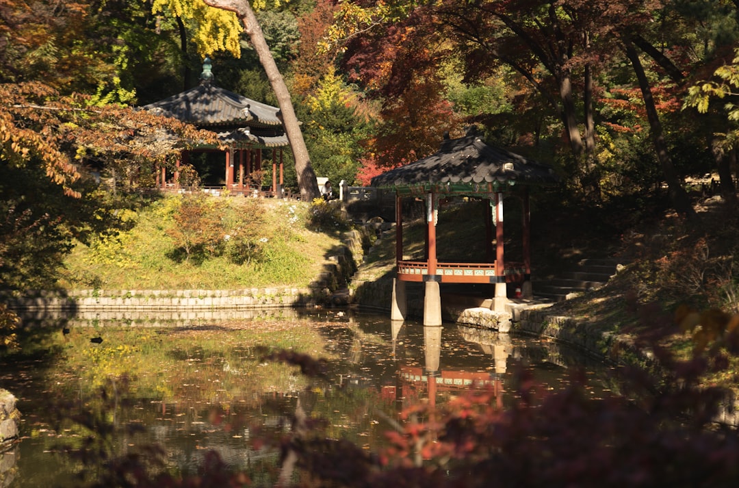 Changdeokgung: Der geheime Palast von Seoul - Jongno District | Secret World Trip Planner
