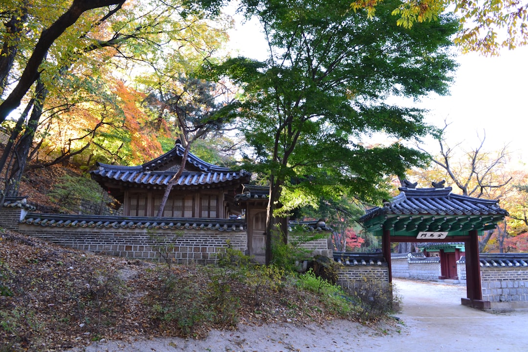 Changdeokgung: o palácio secreto de Seul - Jongno District | Secret World Trip Planner