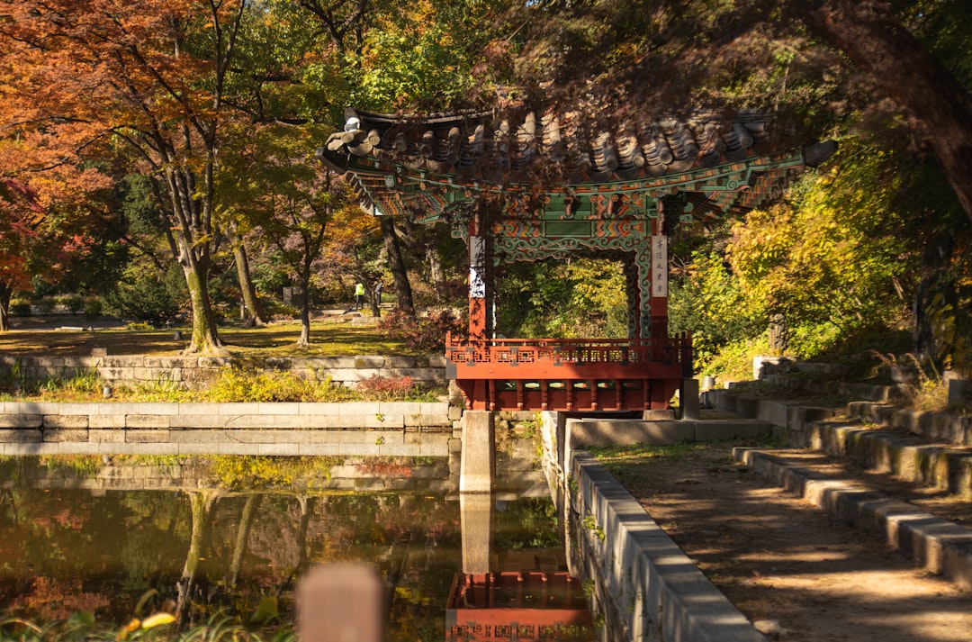 Чангдокгунг: секретный дворец Сеула - Jongno District | Secret World Trip Planner