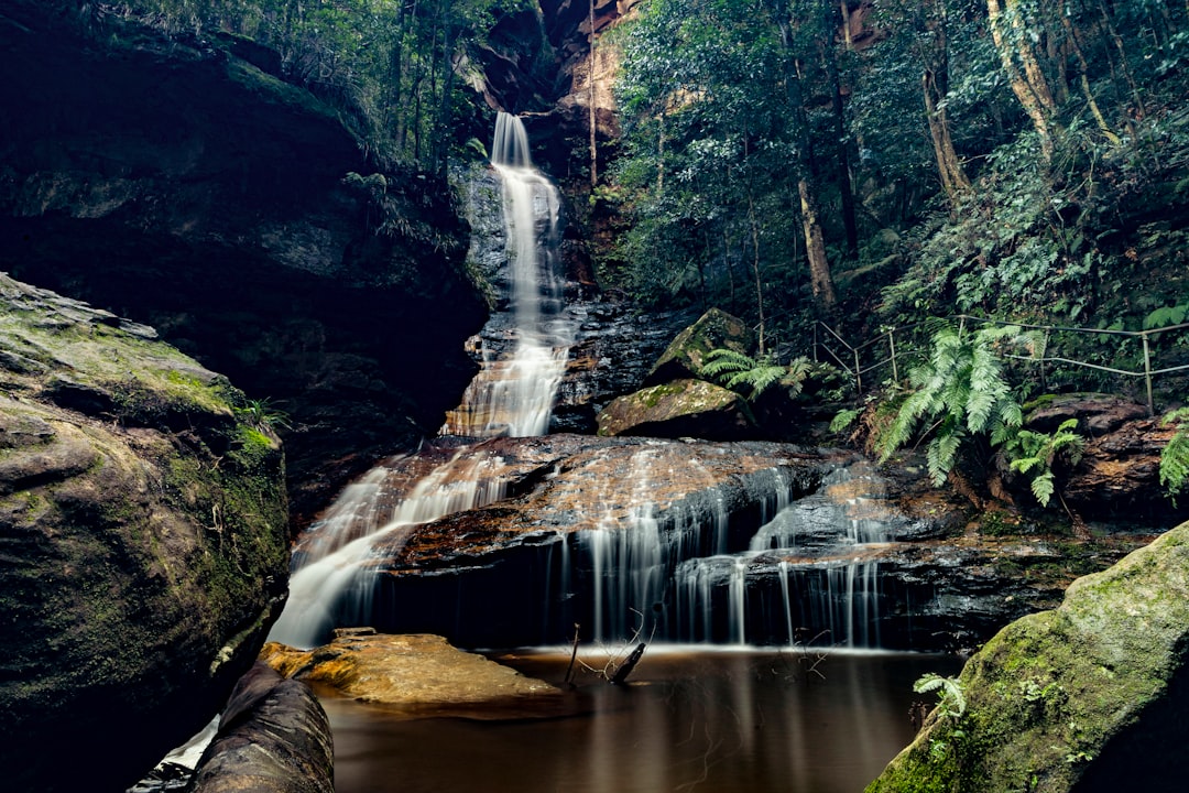 Blue Mountains: Wild Nature of Eucalyptus and Sandstone - Nuovo Galles del Sud | Secret World Trip Planner