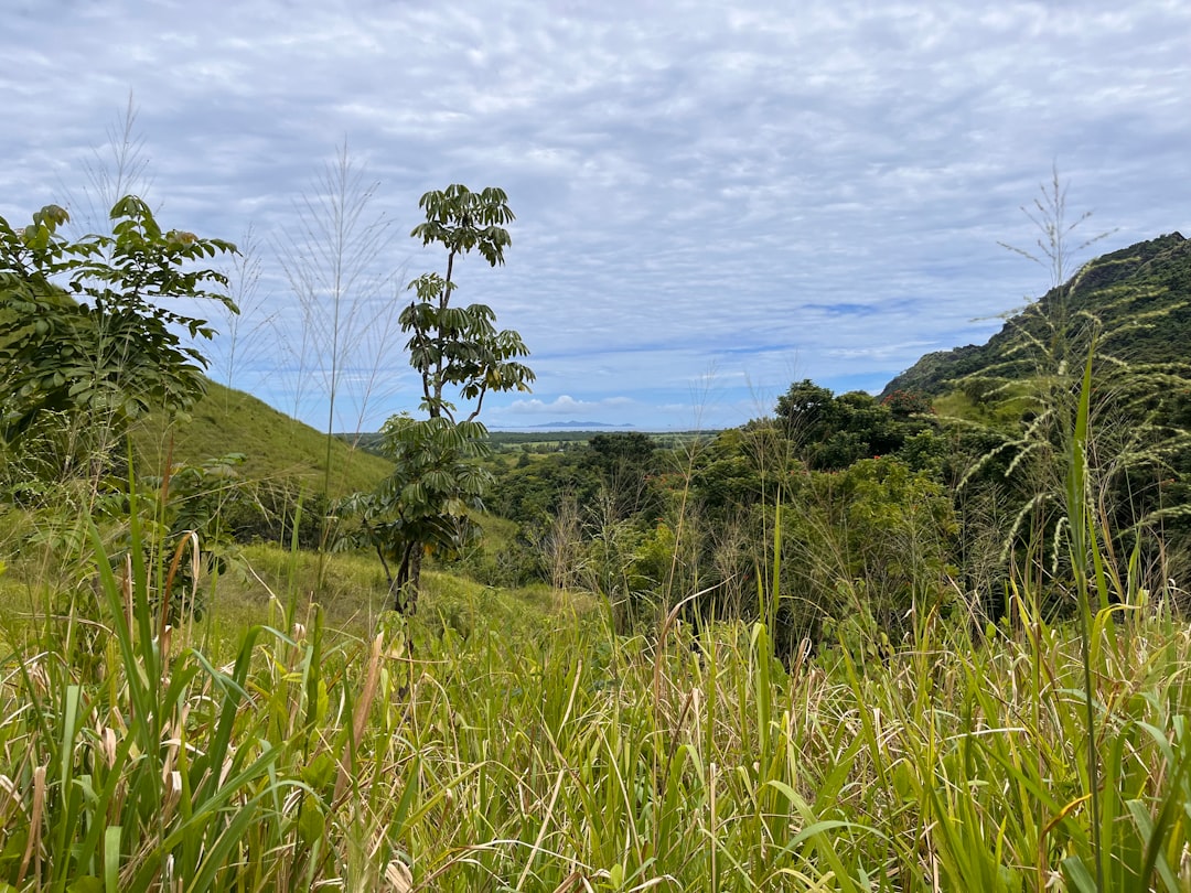 Garden of the Sleeping Giant: Orchids in Fiji - Wailoko Road | Secret World Trip Planner