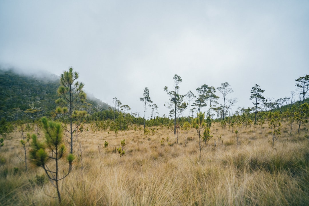 Pico Duarte: trekking sul tetto dei Caraibi - Pico Duarte | Secret World Trip Planner