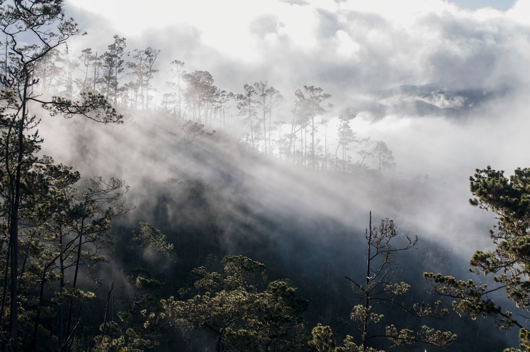 Pico Duarte: Trekking the Roof of the Caribbean - Pico Duarte | Secret World Trip Planner
