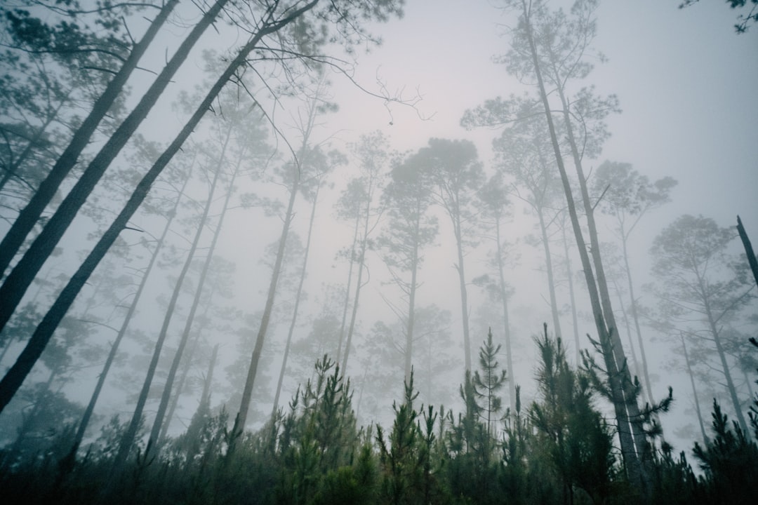 Pico Duarte: Trekking the Roof of the Caribbean - Pico Duarte | Secret World Trip Planner