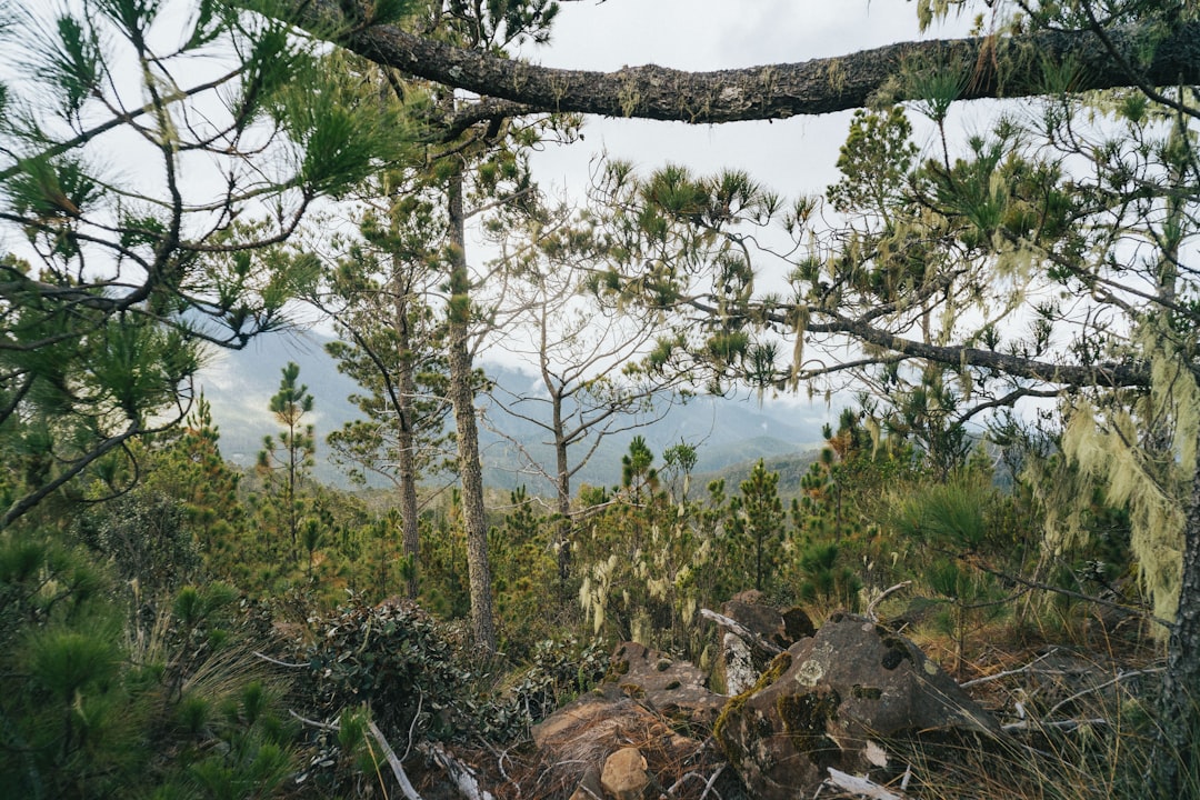Pico Duarte: Trekking the Roof of the Caribbean - Pico Duarte | Secret World Trip Planner