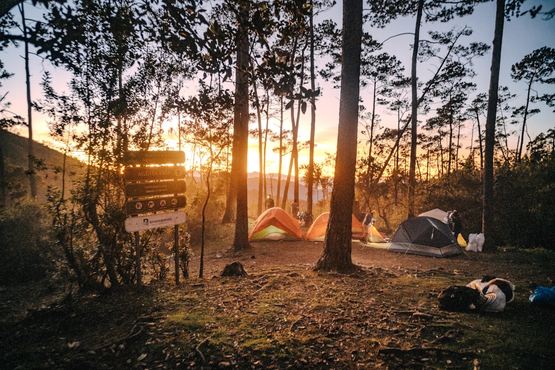 Pico Duarte: Trekking auf dem Dach der Karibik - Pico Duarte | Secret World Trip Planner