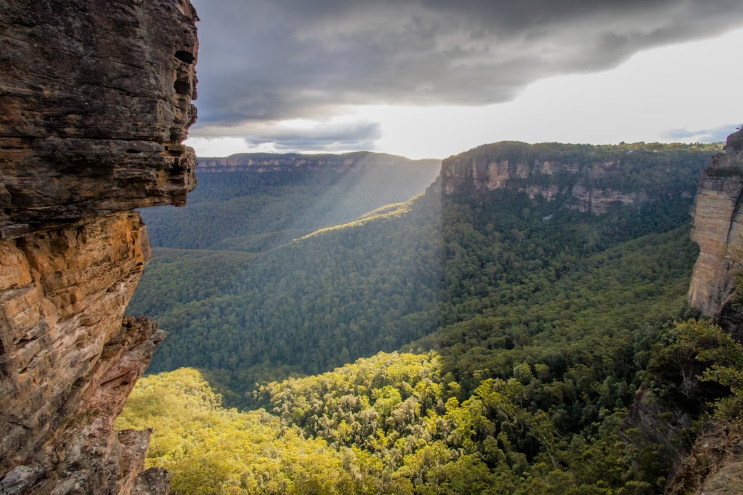 Blue Mountains Jamaica: Trekking Through Forests & Coffee - Blue Mountains | Secret World Trip Planner