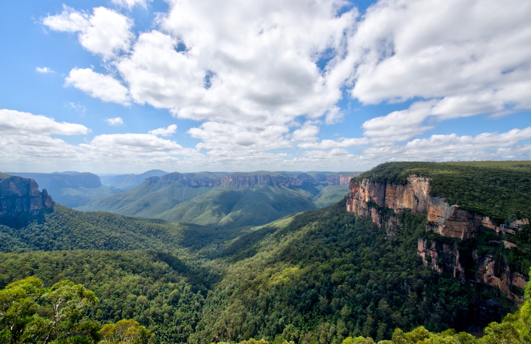 Blue Mountains Jamaica: Trekking Through Forests & Coffee - Blue Mountains | Secret World Trip Planner