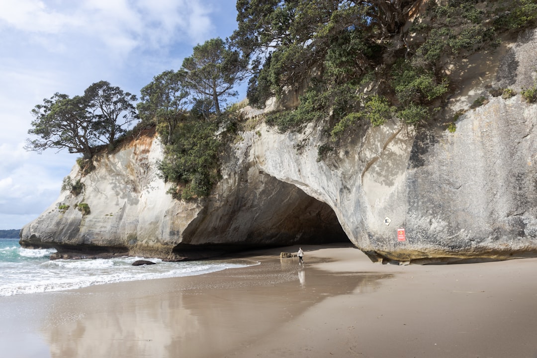 Te Hoho Rock: The Stone Arch of Cathedral Cove - Hei Marine Reserve | Secret World Trip Planner