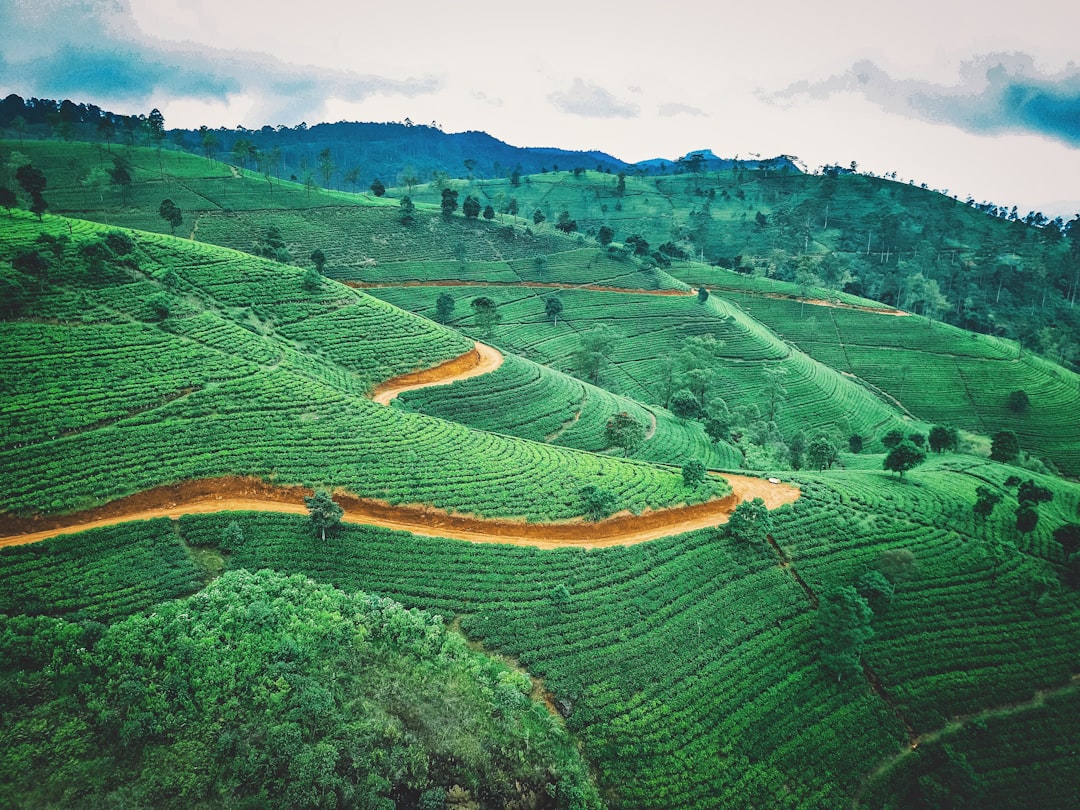 Pidurutalagala: The Highest Peak in Sri Lanka - Nuwara Eliya | Secret World Trip Planner