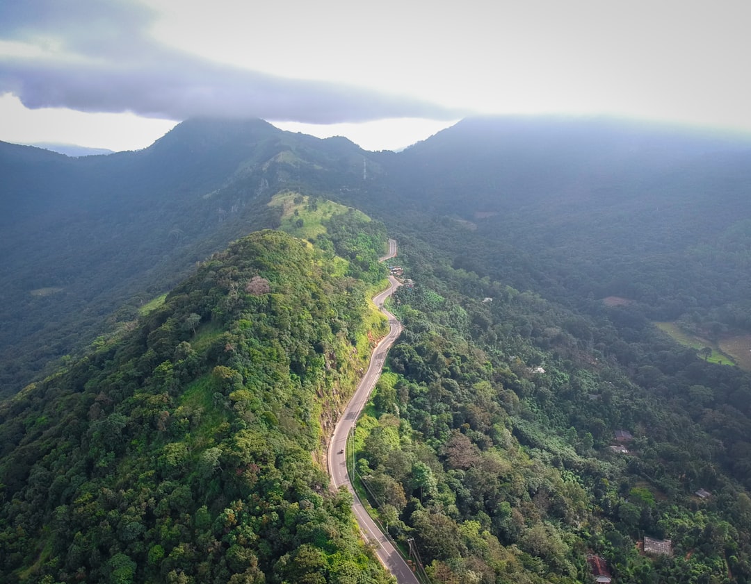 Thotupola Kanda: A Natural Paradise in the Heart of Sri Lanka - Pattipola | Secret World Trip Planner