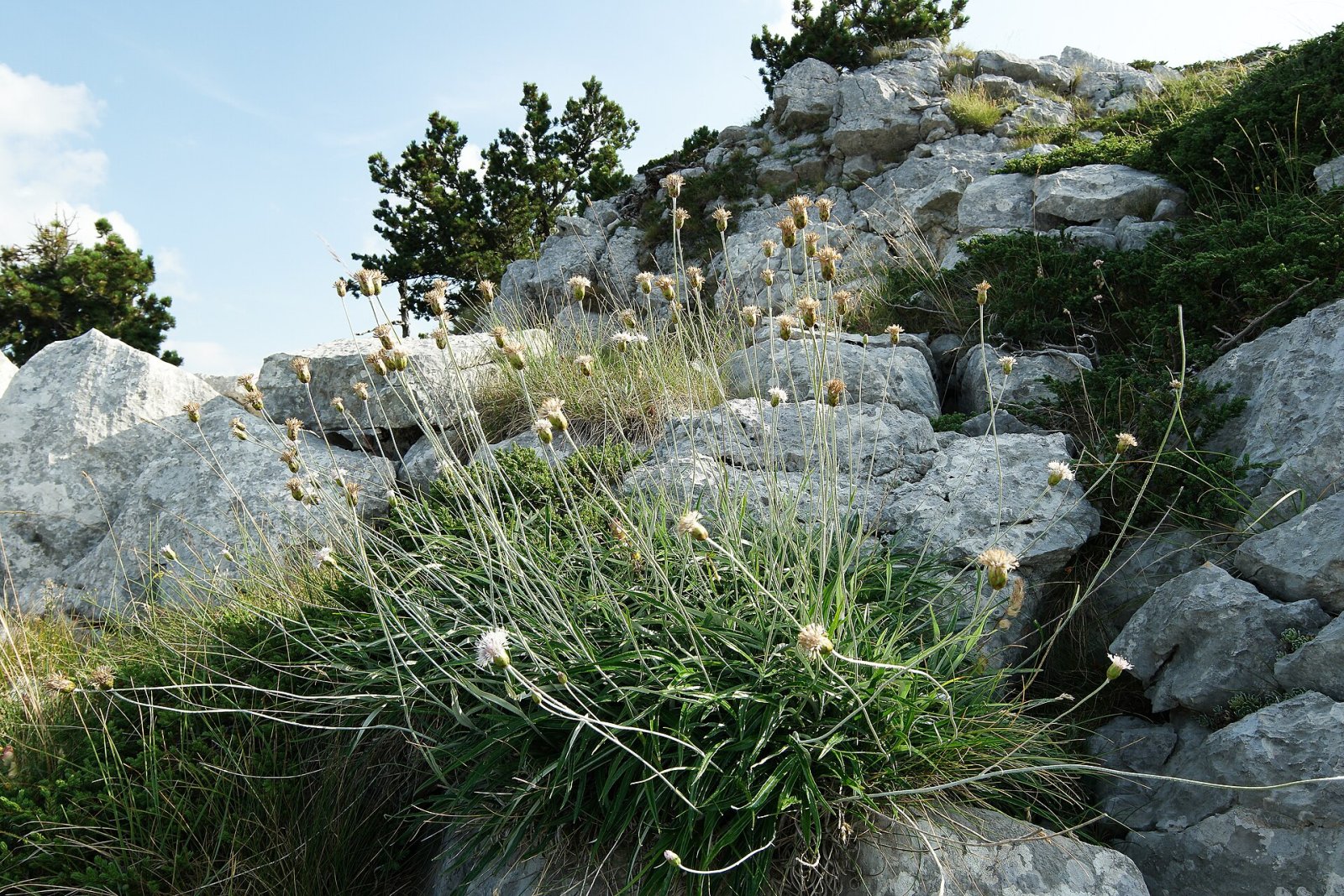 Descubre Velika Jastrebica: el tesoro natural de Montenegro - HGXV+6C Ubla | Secret World Trip Planner