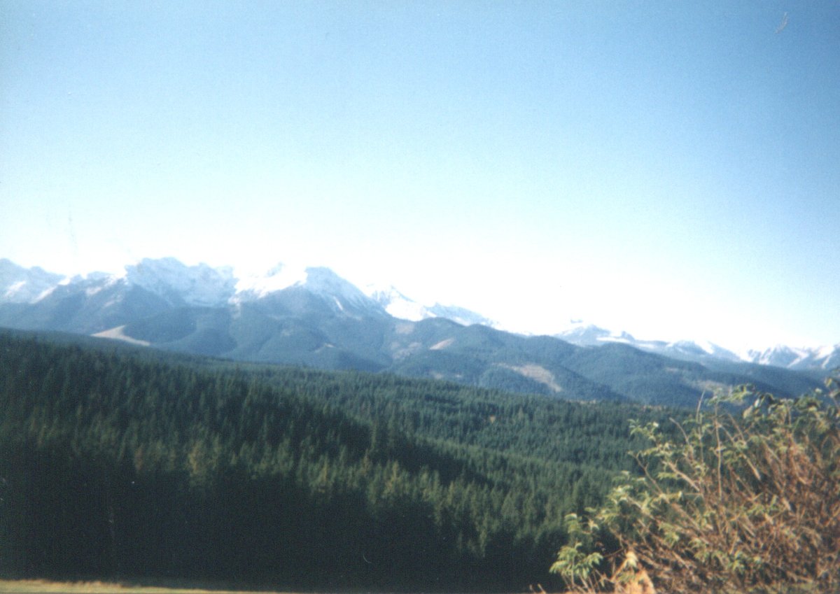 Tatra Trails: Alpine Hiking Adventures in Zakopane - Kuźnice 1 | Secret World Trip Planner