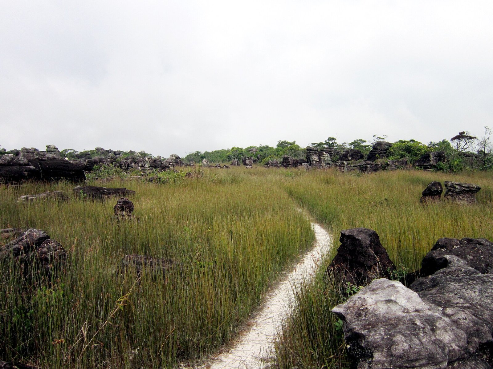 Découvrez la Magie de Phnom Bokor : Un Paradis Naturel au Cambodge - Changhaon | Secret World Trip Planner