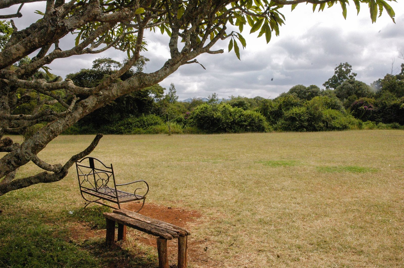 Discover Bench, the Tranquility Retreat in the Heart of Kenya - Nairobi | Secret World Trip Planner