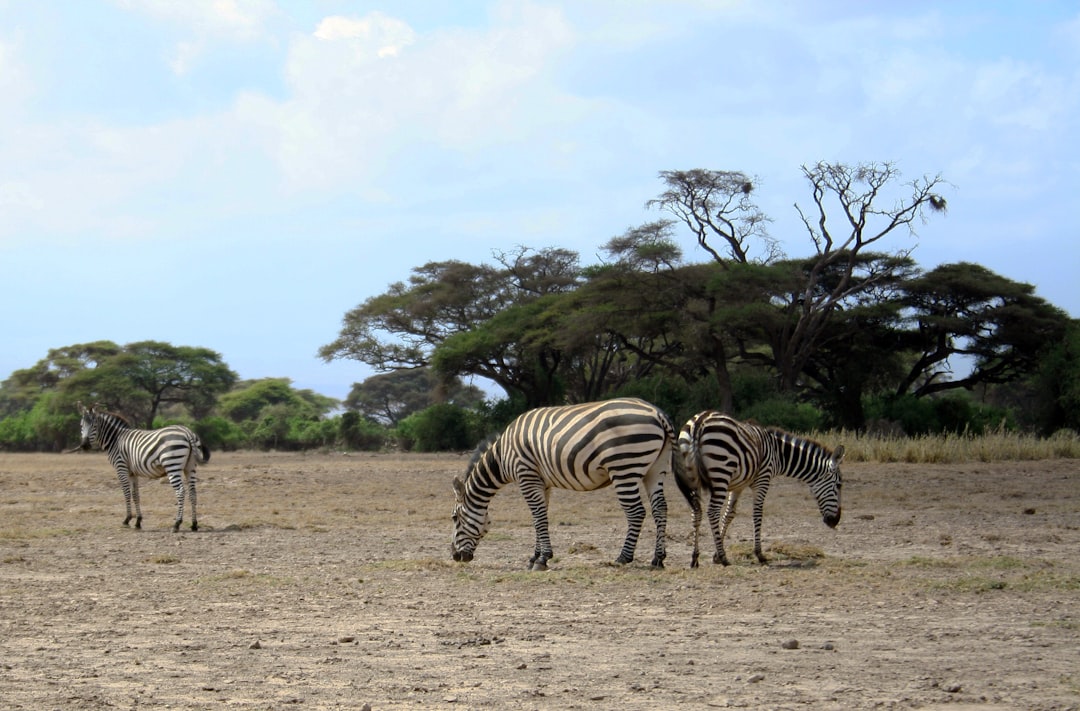 Découvrez l'Équateur au Kenya : un voyage unique entre expériences et nature | Secret World Trip Planner