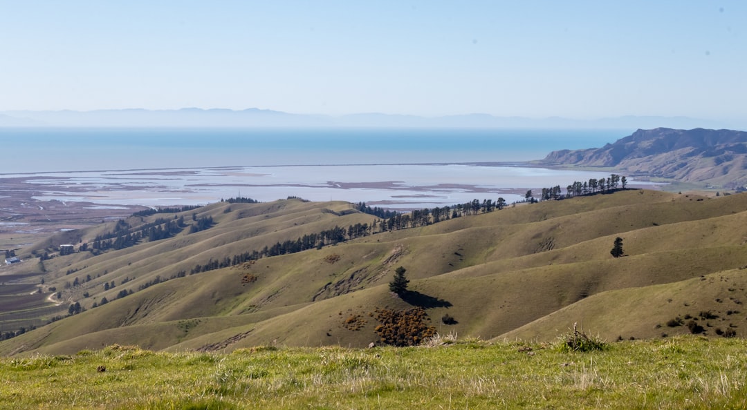 Visites de vins à Marlborough : vélo dans les vignes - Springlands | Secret World Trip Planner