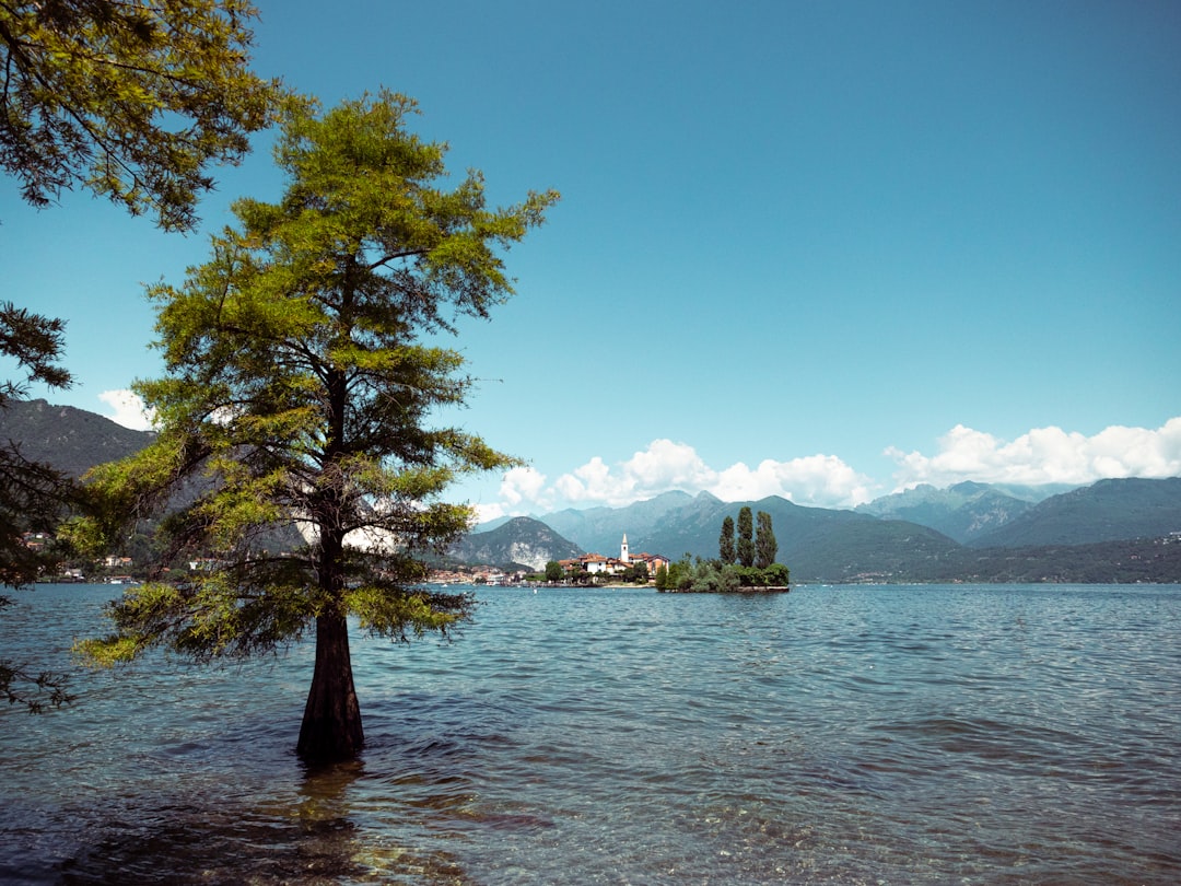 Kawaguchi Lake: Fuji's Reflection on the Water - Distretto di Minamitsuru | Secret World Trip Planner