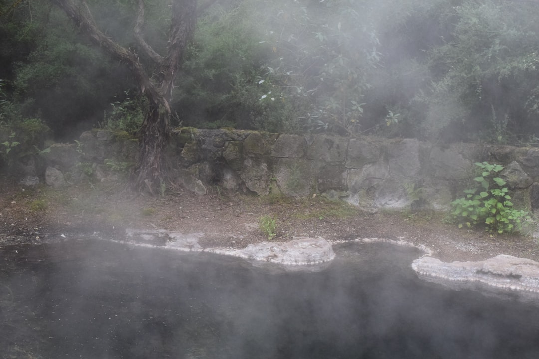 Polynesian Spa Rotorua: termas geotérmicas en el lago - Lakeside | Secret World Trip Planner
