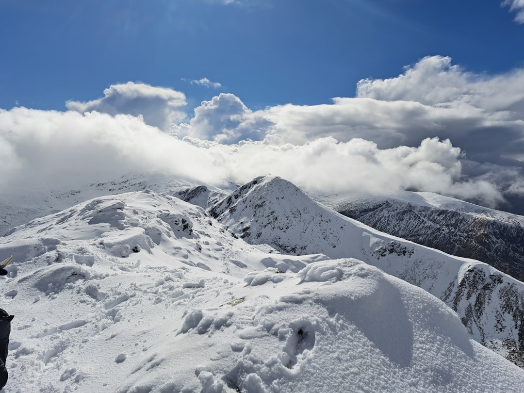 Discover Ben Lawers: The Highest Peak in the Scottish Highlands — Carie
