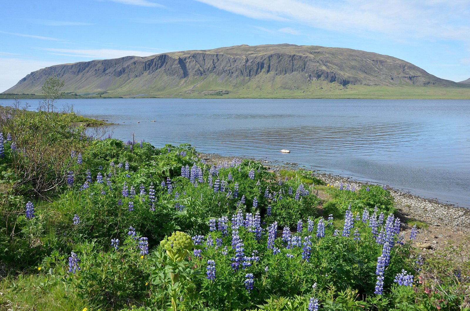 Ingólfsfjall: un gioiello naturale dell'Islanda — Árbæjarhverfi