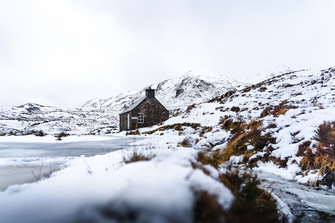 Icehouse : Le Groupe Australien Qui a Conquis le Monde - Midlothian | Secret World Trip Planner