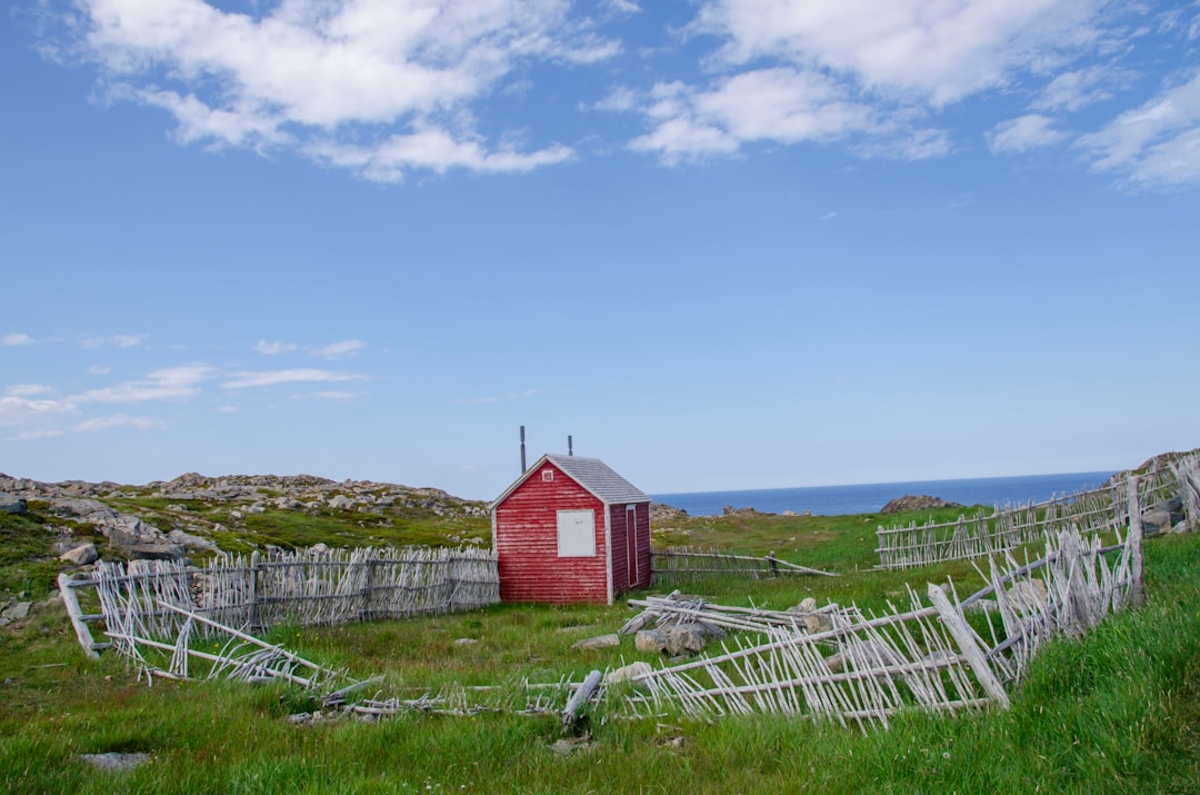 Il faro di Cape Bonavista: storia e puffin a Terranova — Bonavista