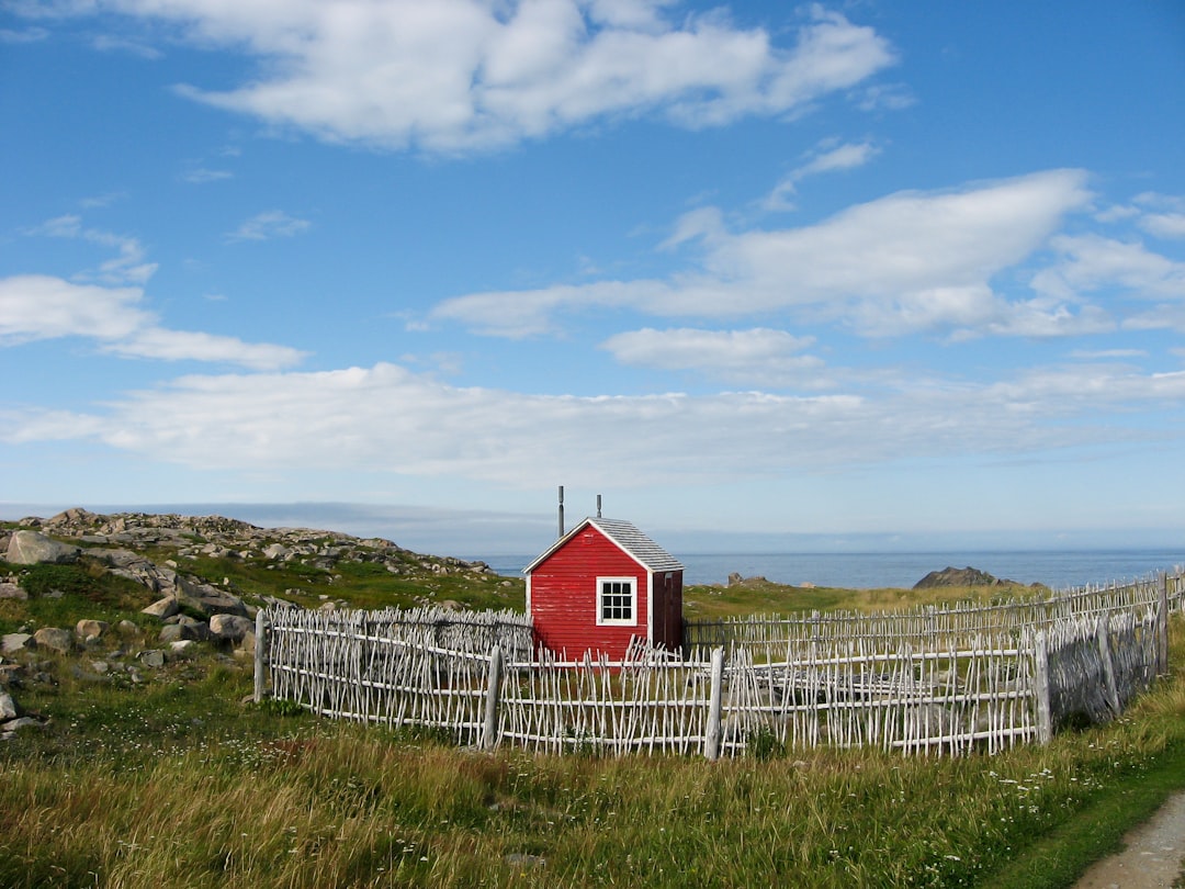 Il faro di Cape Bonavista: storia e puffin a Terranova - Bonavista | Secret World Trip Planner