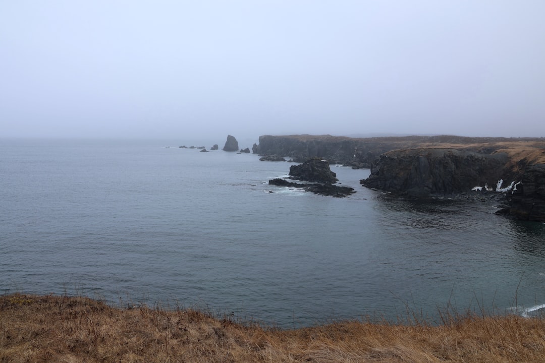 Il faro di Cape Bonavista: storia e puffin a Terranova - Bonavista | Secret World Trip Planner