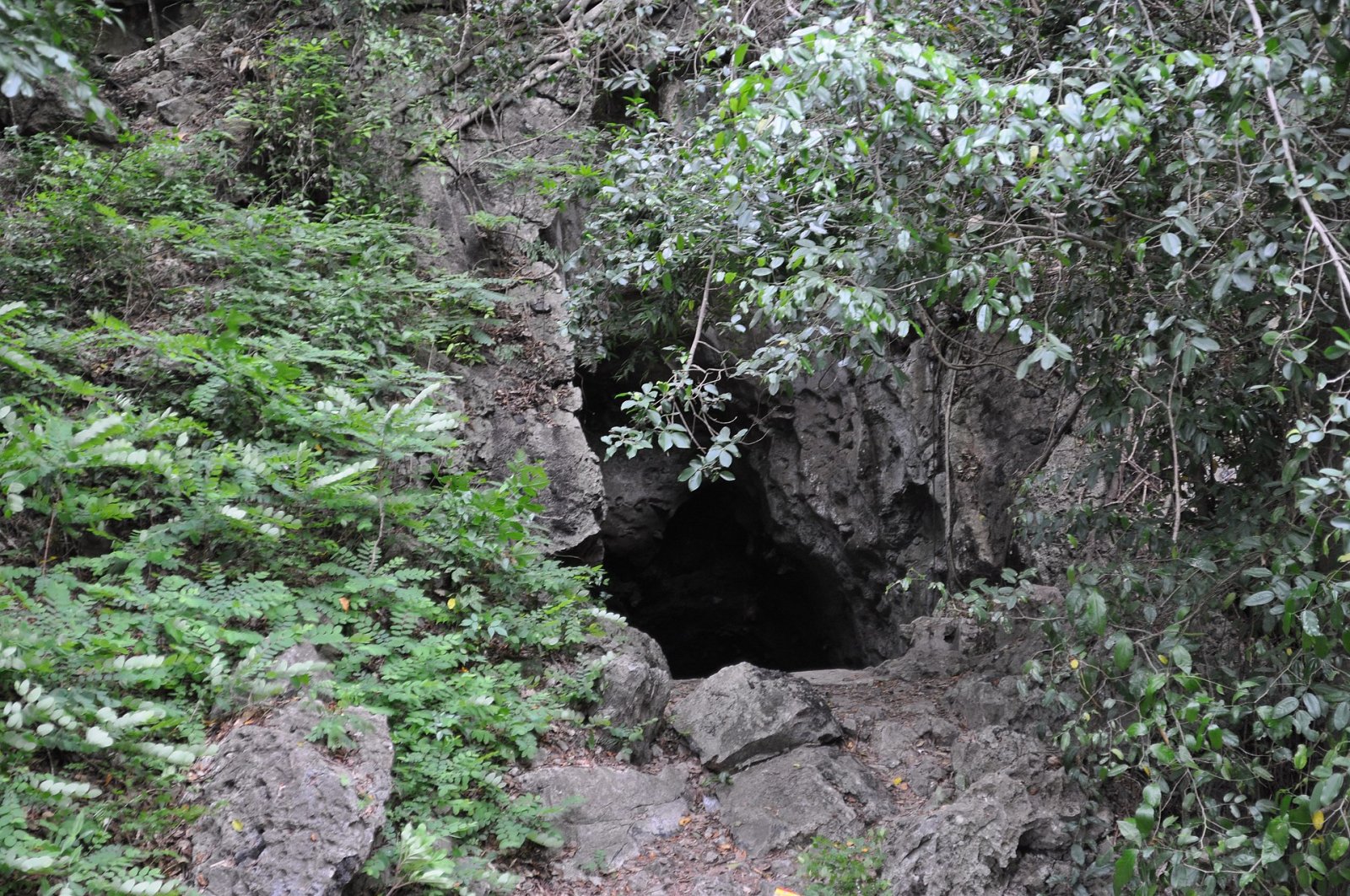 Scopri la Bat Cave in Cambogia: un tesoro naturale da esplorare — Krong Kaeb